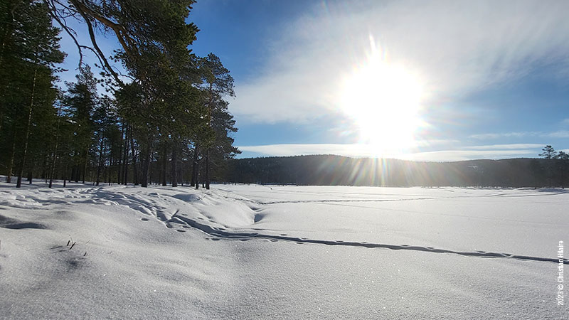 Lever de soleil sur Lankojärvi