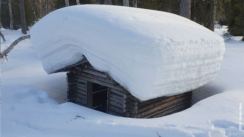 Cette année 1m50 de neige cumulée en Laponie. Un « Tulentekopaikka », abri à bois, et quelque part sous la neige, le feu de camp. 