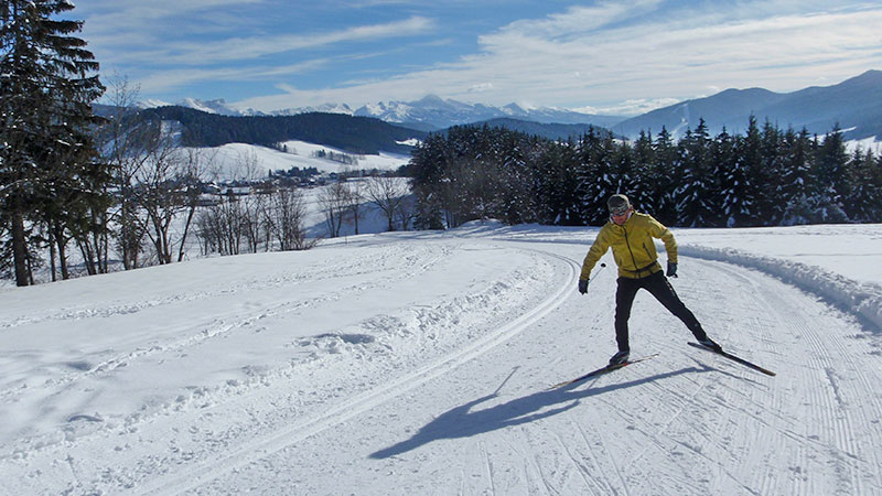 Cours de ski nordique : classique ou skating. Séance minimum de 2 heures.